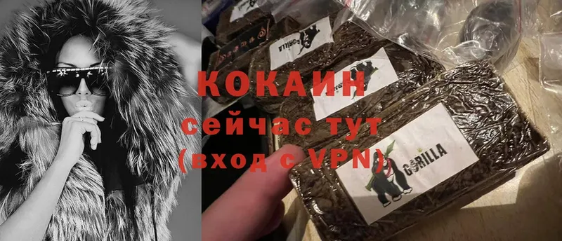 Cocaine Fish Scale  Черногорск 